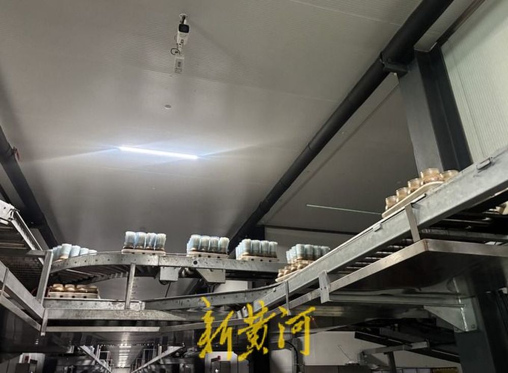 e4b55188c54b528595c5e5cc3a7a10e2_f668664227950251953534397904f937.jpg e4b55188c54b528595c5e5cc3a7a10e2_f668664227950251953534397904f937.jpg